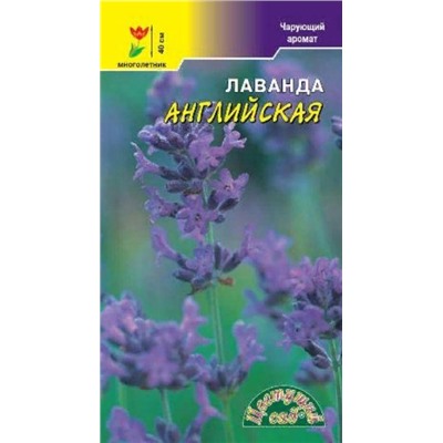 Лаванда Английская /ЦветСад/ 0,1г/ h-40см