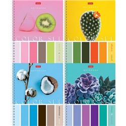 Тетрадь  80л клетка "Color Set" (075645) Хатбер {Россия}