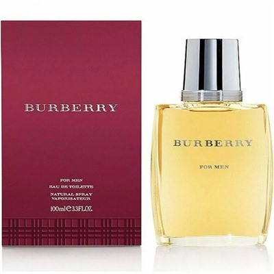 Burberry (для мужчин) 100ml (EURO)