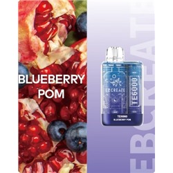 EBCREATE Испаритель 6000 затяжек BLUBERRY POM