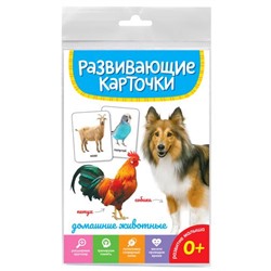 РазвивающиеКарточки Домашние животные (20 карточек) (от 0 лет), (Проф-Пресс, 2023), К