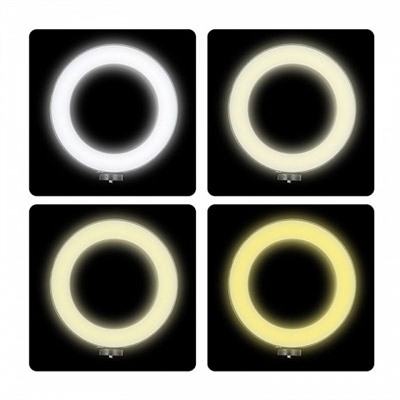 Кольцевая светодиодная лампа LED RING FILL LIGHT 26 СМ