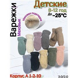 Детские варежки 12 пар 1823941-1